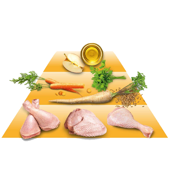 Samenstelling Goood kip